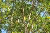 d120825k_0268_small.jpg