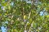 d120825k_0270_small.jpg
