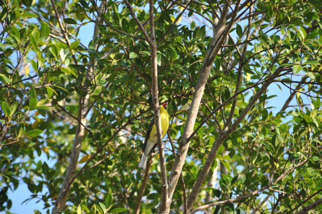 d120825k_0277.jpg