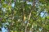 d120825k_0277_small.jpg
