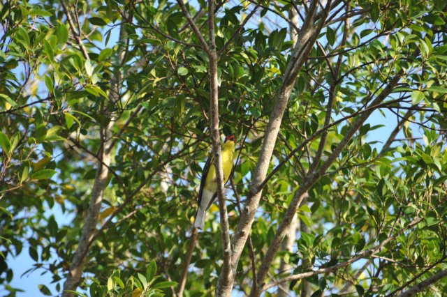 d120825k_0278.jpg
