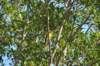 d120825k_0278_small.jpg