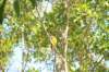 d120825k_0288_small.jpg