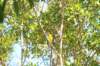 d120825k_0298_small.jpg