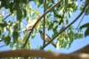 d120825k_0309_small.jpg