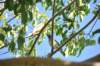 d120825k_0310_small.jpg