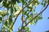 d120825k_0314_small.jpg