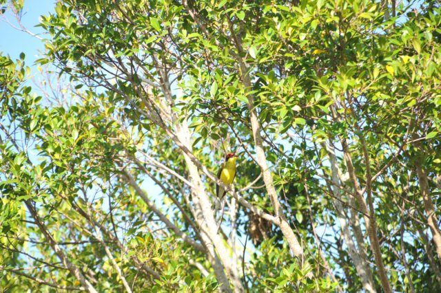 d120825k_0316.jpg