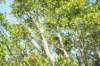 d120825k_0316_small.jpg