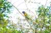 d120825k_0335_small.jpg