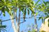 d120825k_0336_small.jpg