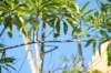 d120825k_0341_small.jpg