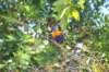 d120825k_0347_small.jpg