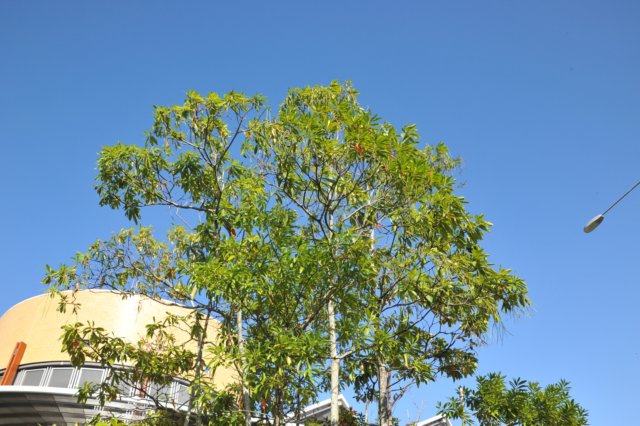 d120825k_0355.jpg