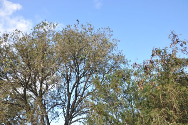 d120825k_0377.jpg