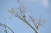 d120825k_0404_small.jpg