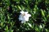 d120825k_0414_small.jpg