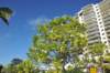 d120825k_0420_small.jpg