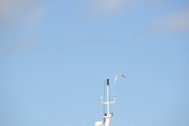 d120825k_0471.jpg