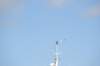 d120825k_0471_small.jpg