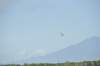 d120825k_0488_small.jpg
