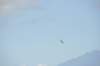 d120825k_0489_small.jpg