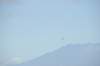 d120825k_0491_small.jpg
