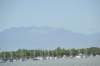 d120825k_0505_small.jpg