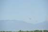 d120825k_0509_small.jpg