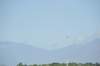 d120825k_0512_small.jpg