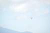 d120825k_0521_small.jpg