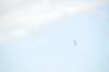 d120825k_0528_small.jpg