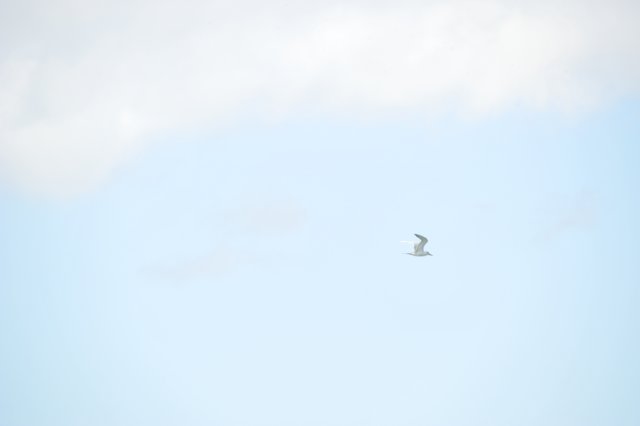d120825k_0534.jpg