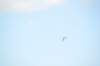 d120825k_0539_small.jpg