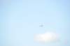 d120825k_0542_small.jpg