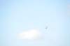 d120825k_0543_small.jpg