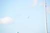 d120825k_0544_small.jpg