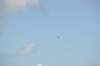 d120825k_0547_small.jpg
