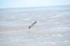 d120825k_0574_small.jpg