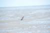 d120825k_0575_small.jpg