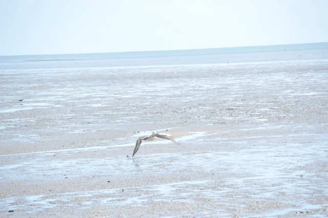 d120825k_0579.jpg
