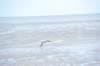 d120825k_0579_small.jpg