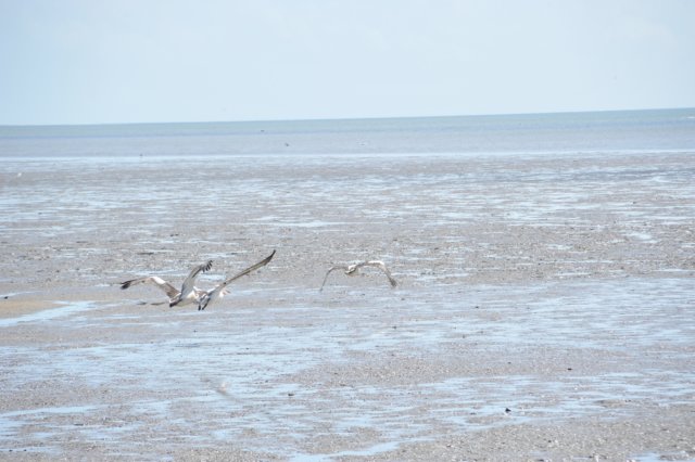 d120825k_0583.jpg