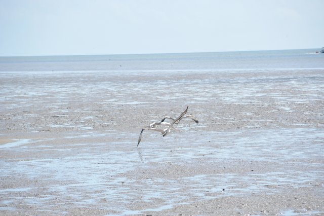 d120825k_0585.jpg