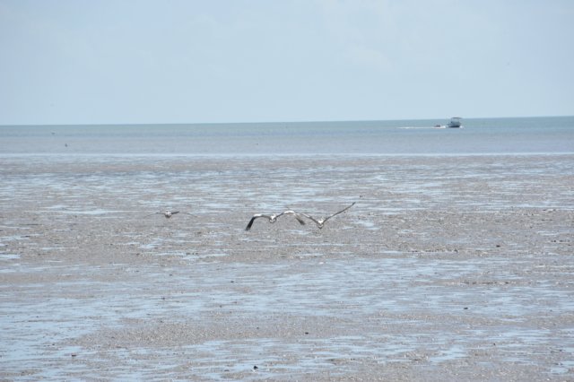 d120825k_0587.jpg