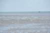 d120825k_0588_small.jpg