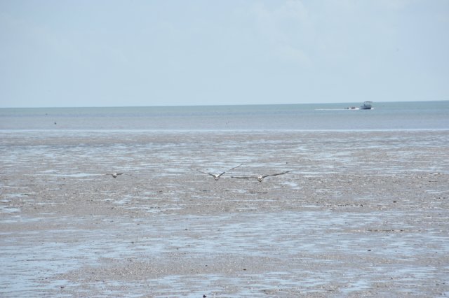 d120825k_0589.jpg