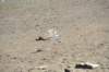 d120825k_0611_small.jpg