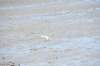 d120825k_0621_small.jpg