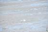 d120825k_0622_small.jpg